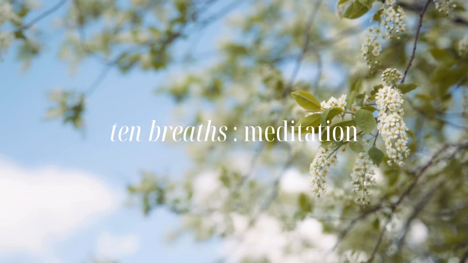 re:set meditations : 10 breaths