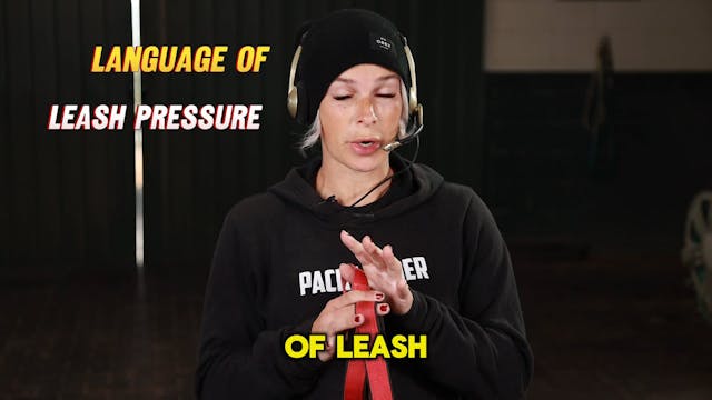 LEASH PRESSURE IS A LANGUAGE