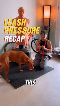 LEASH PRESSURE RECAP