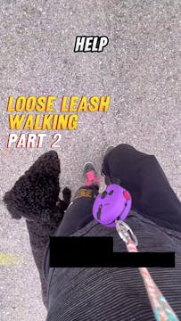 LOOSE LEASH WALKING PT2 FOOTWORK & ST...