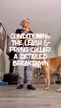 Part 2 CONDITIONING THE LEASH PRESSUR...