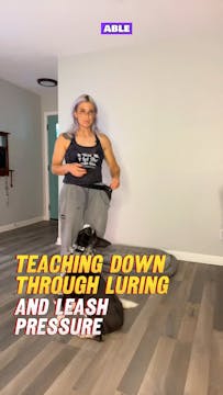 Teaching DOWN through LURING & LEASH ...