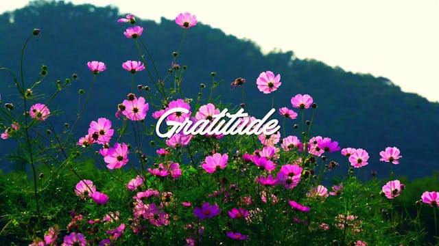  Gratitude Meditation