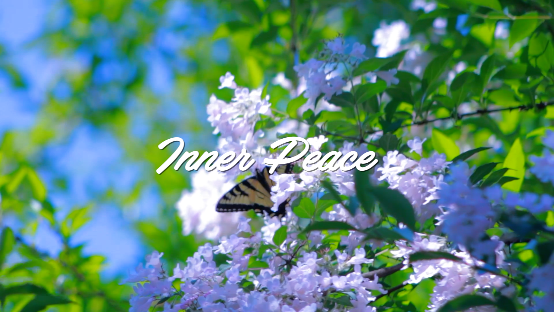 Inner Peace Meditation