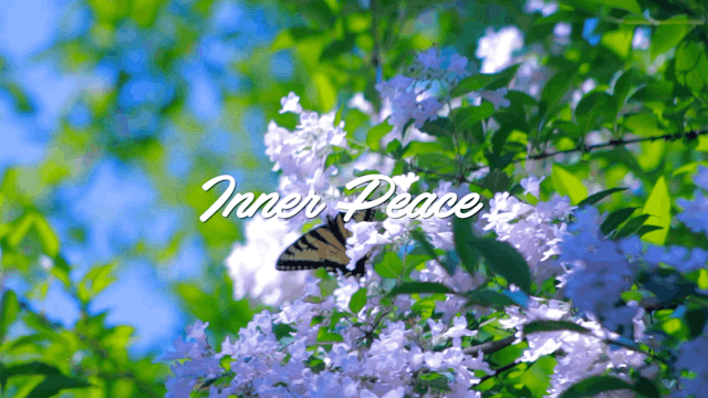 Inner peace meditation
