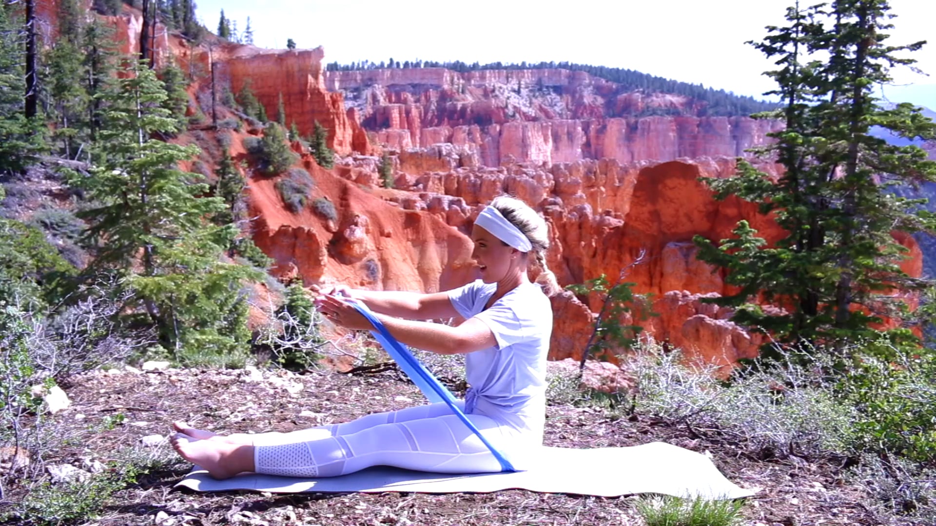 New You Amazing Arms