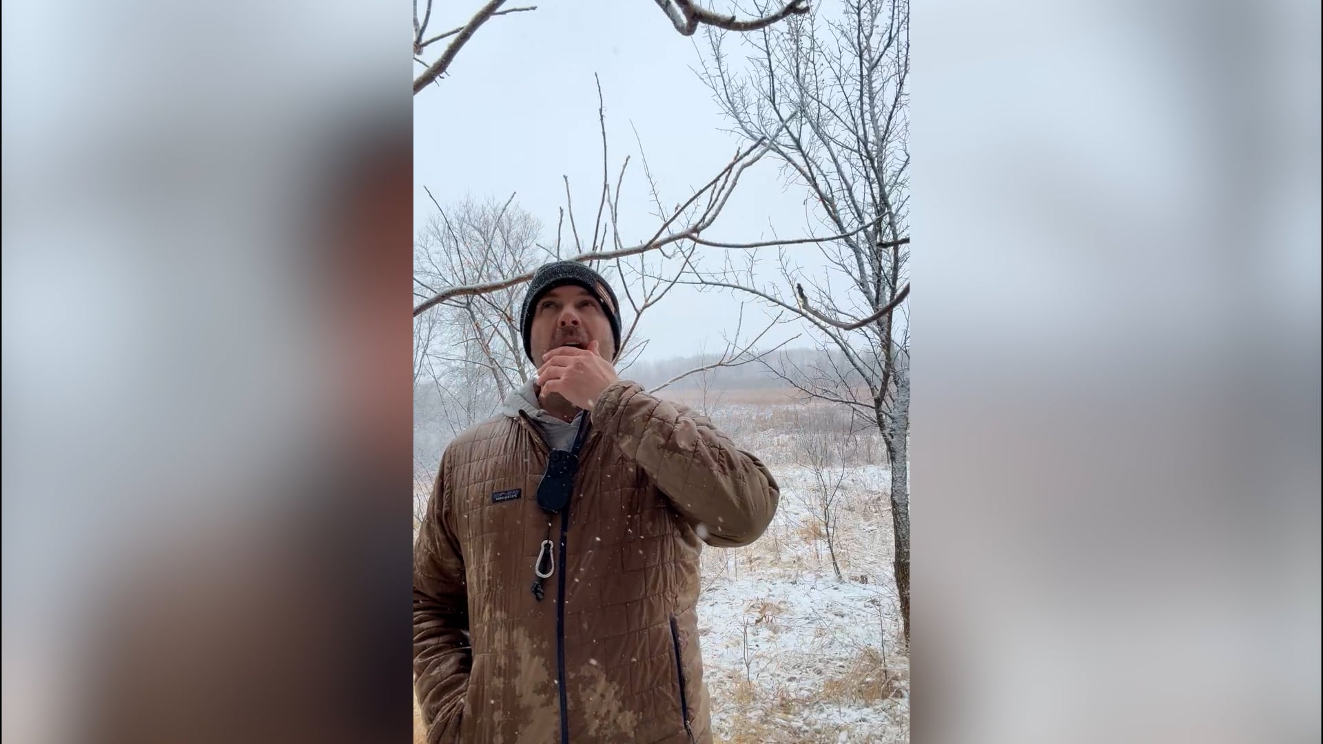 Live from Southern Minnesota wilderness with #Sig & #Len