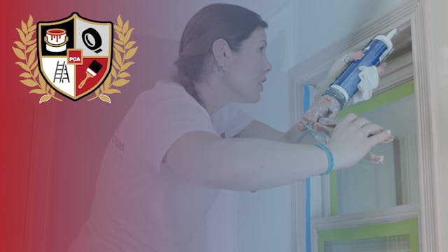 Implementing Painter Training
