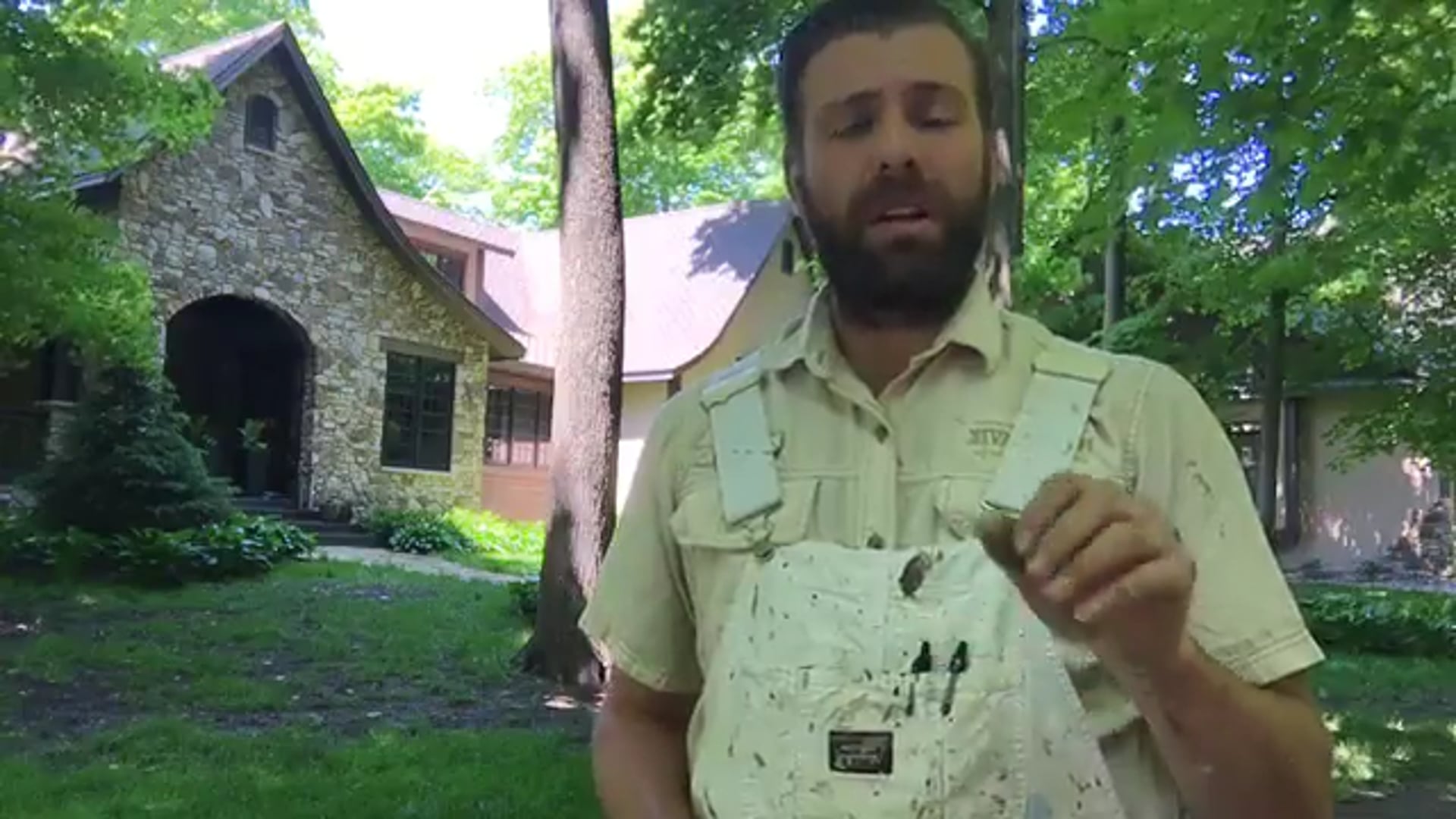 Wood Restoration and Brush Organization