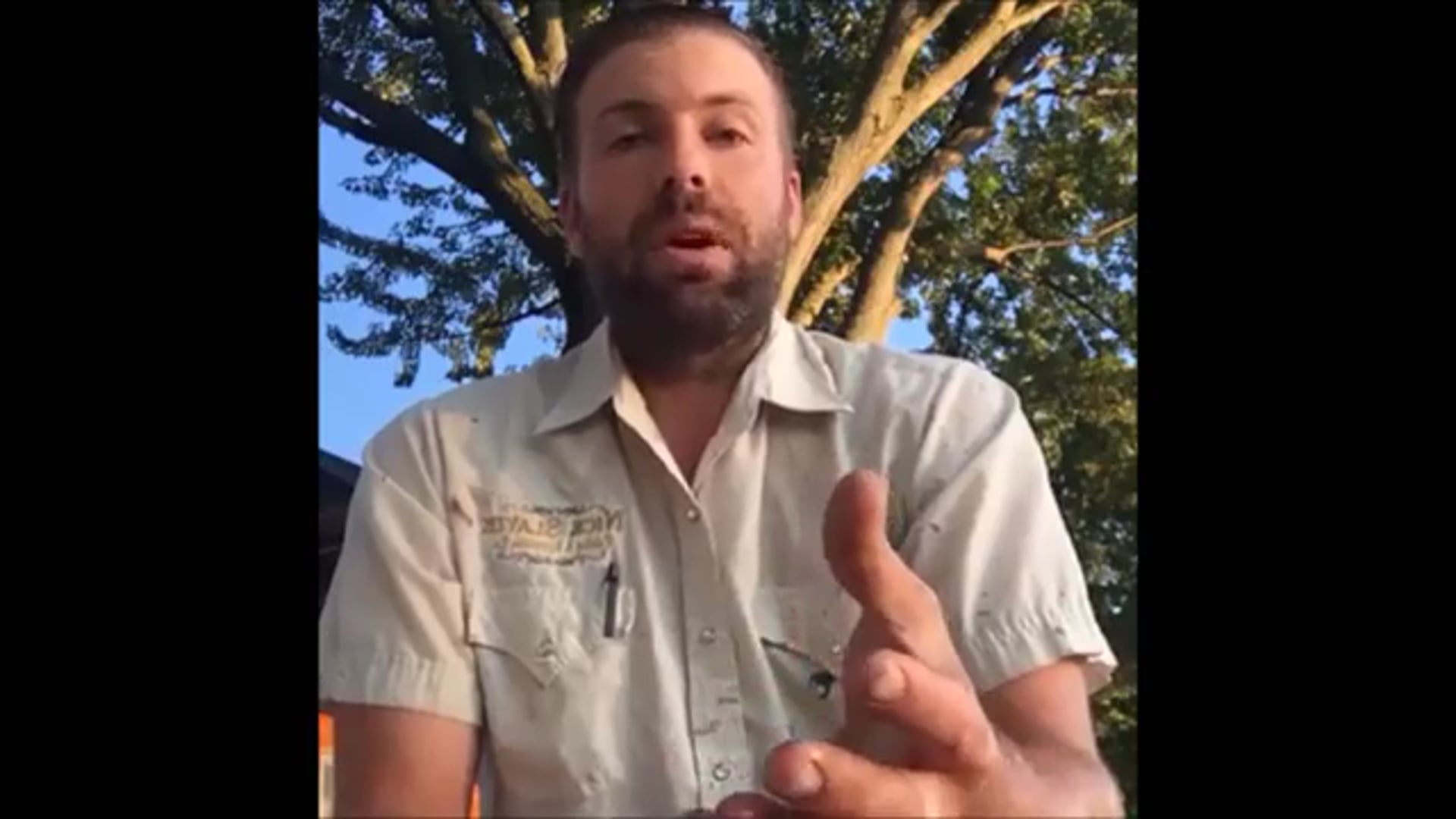 Log Siding Restoration Color Apps and Deck Stains