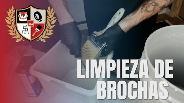 Limpieza de Brochas