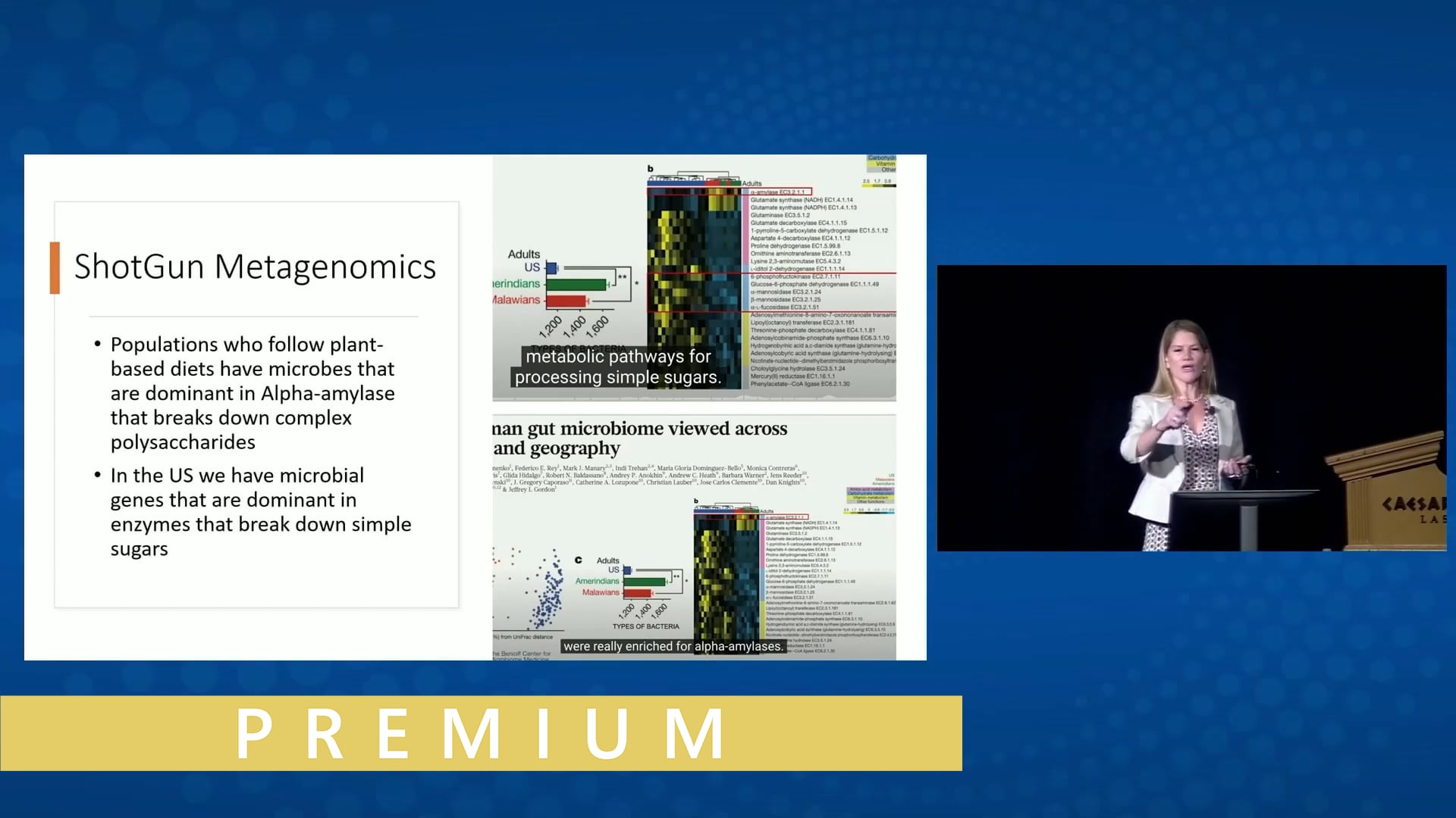 Impact of Menopause on the Gut and Vaginal Microbiome