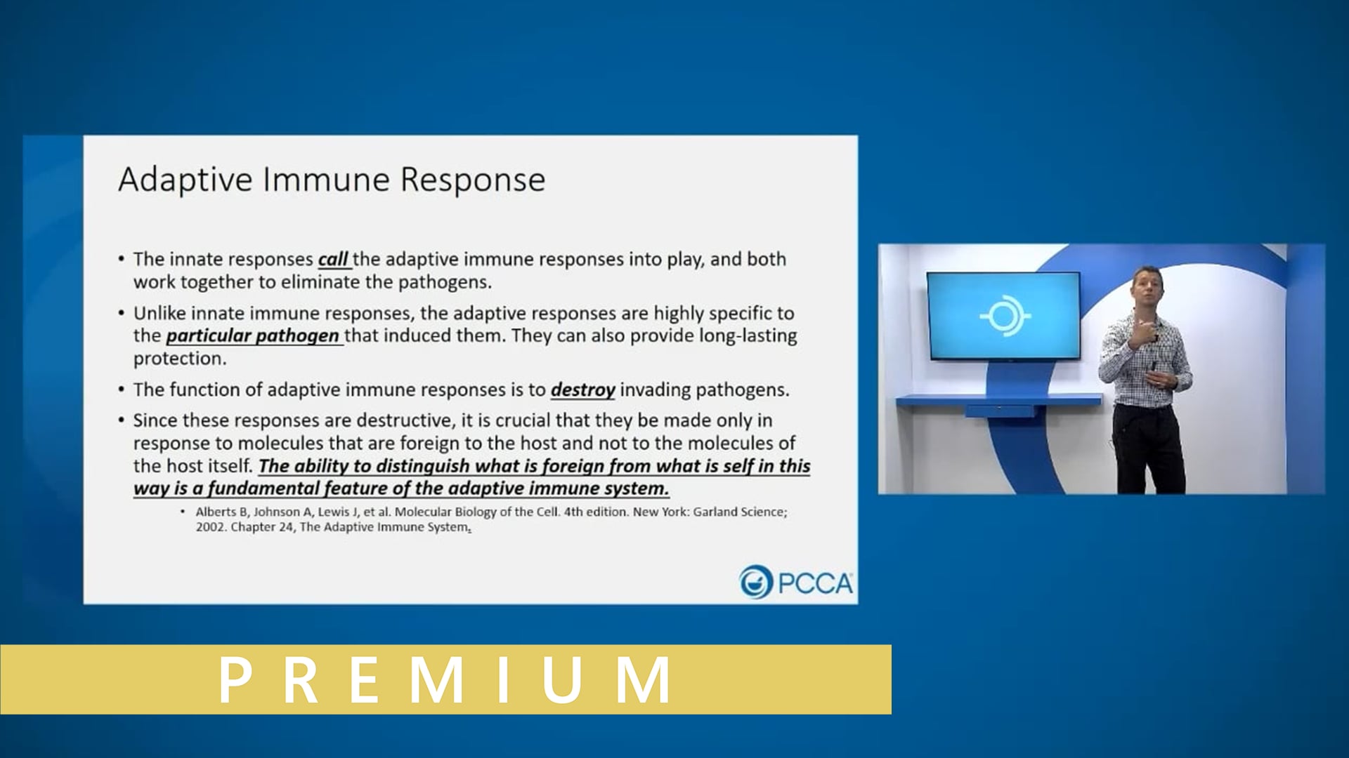 Back to Basics: Understanding the Immune System and Autoimmune Disorders