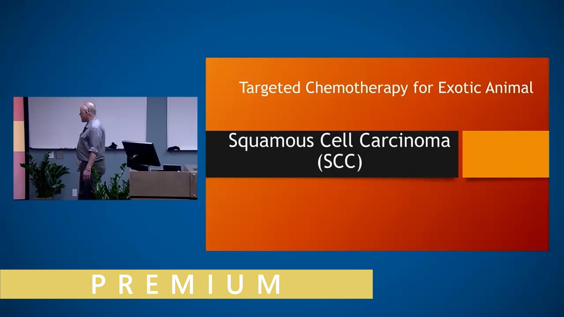 Compounding For Exotics