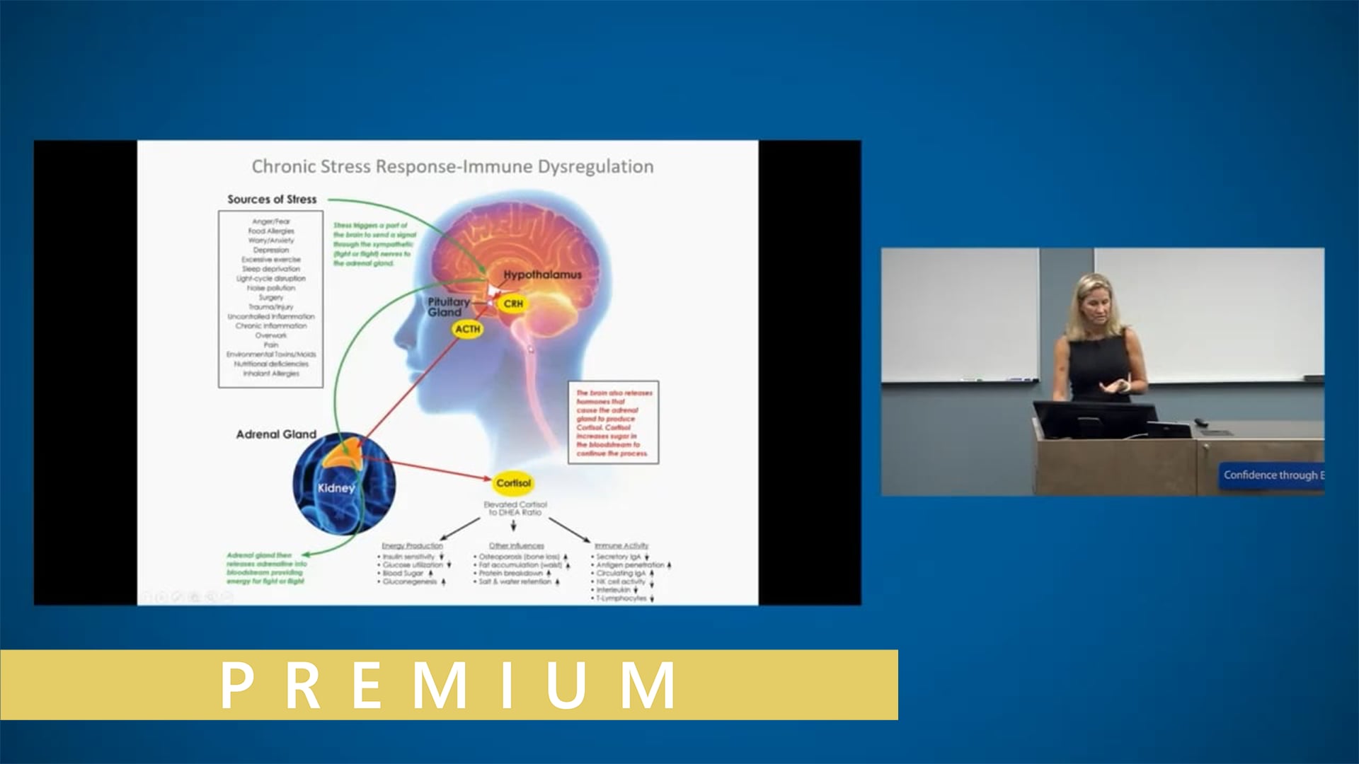 Adrenals and the Autoimmune Response