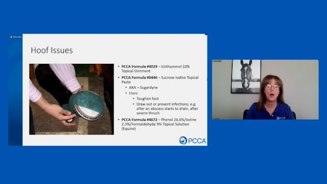 Compounding Opportunities for Equine ...