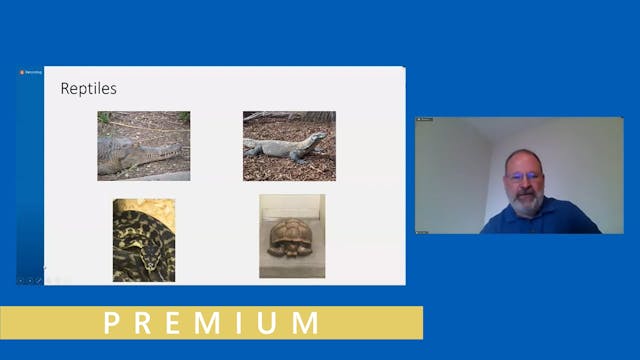 Reptilian and Amphibian Disease State...
