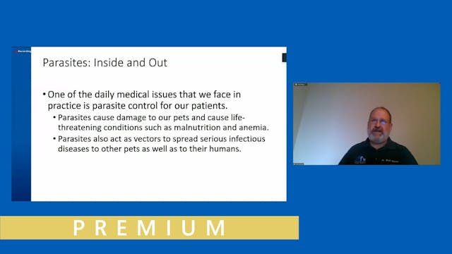 Cats & Dogs: Introduction to Common M...