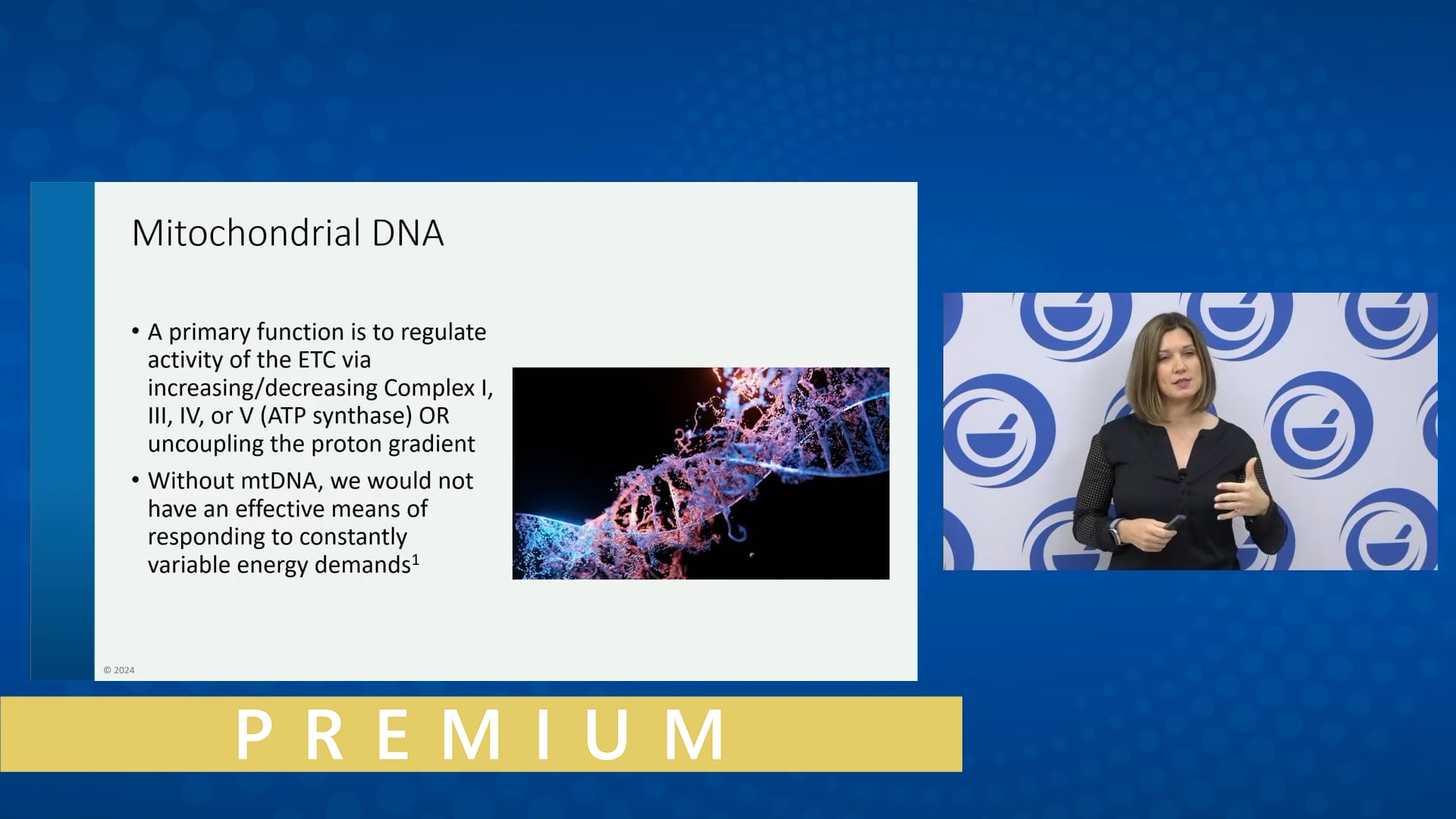 Discovering Mitochondria: The Cellular Energizers