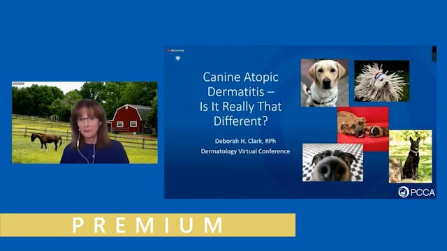 Veterinary Dermatology & Compounding ...