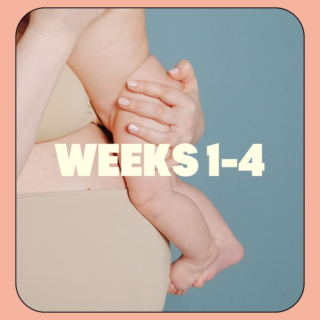 Weeks 1-4