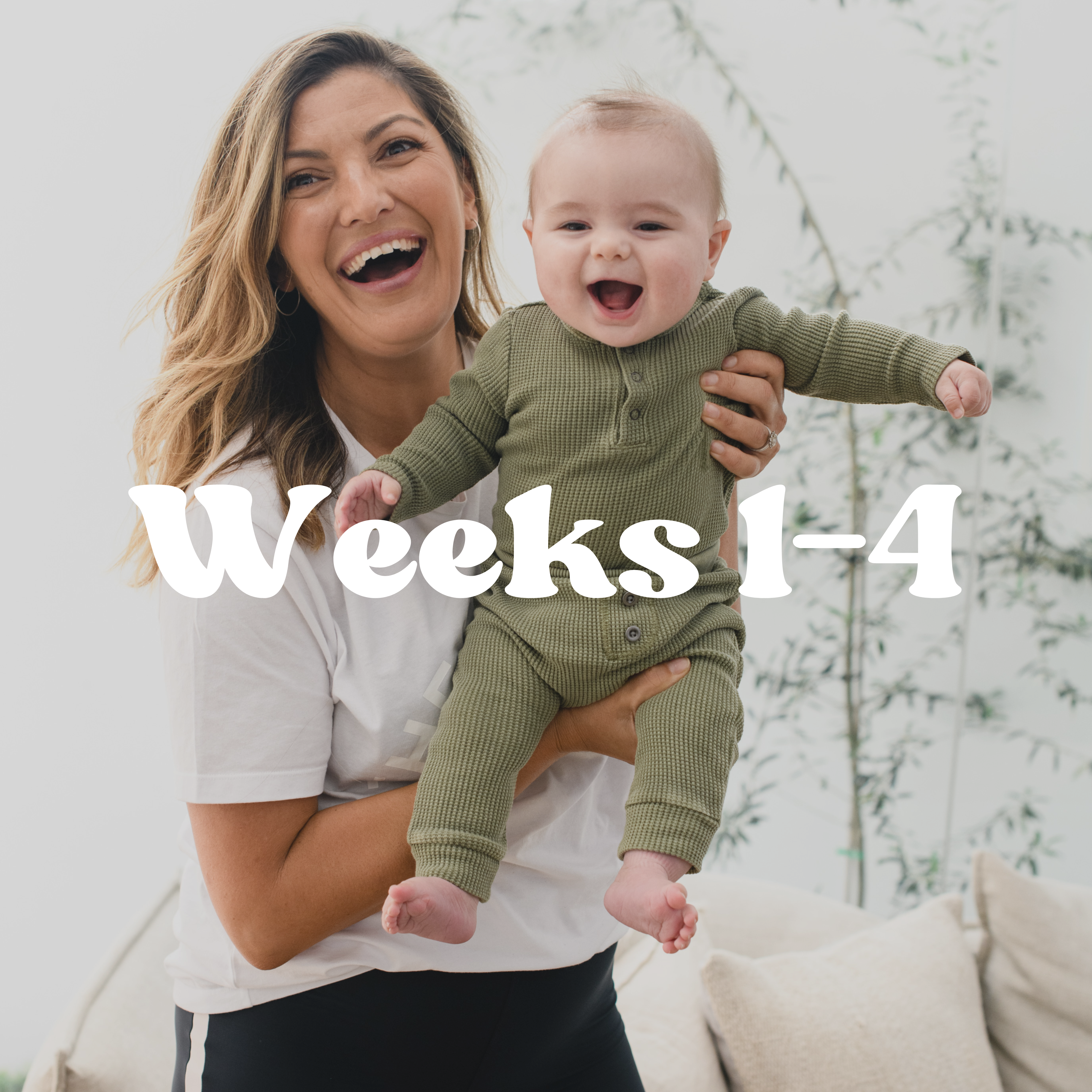 Weeks 1-4