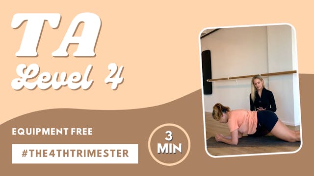 TA Level 4