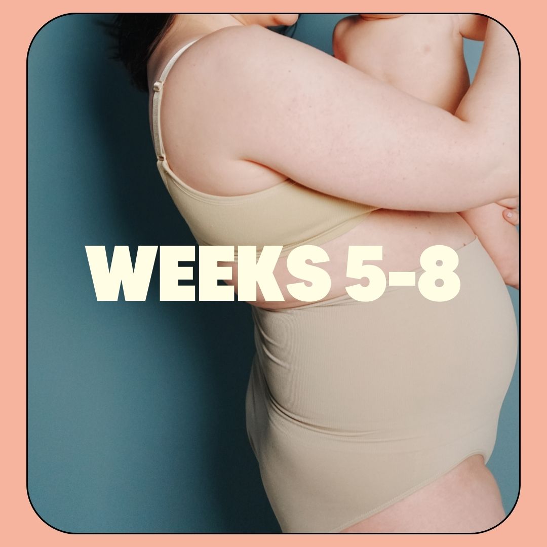 Weeks 5-8
