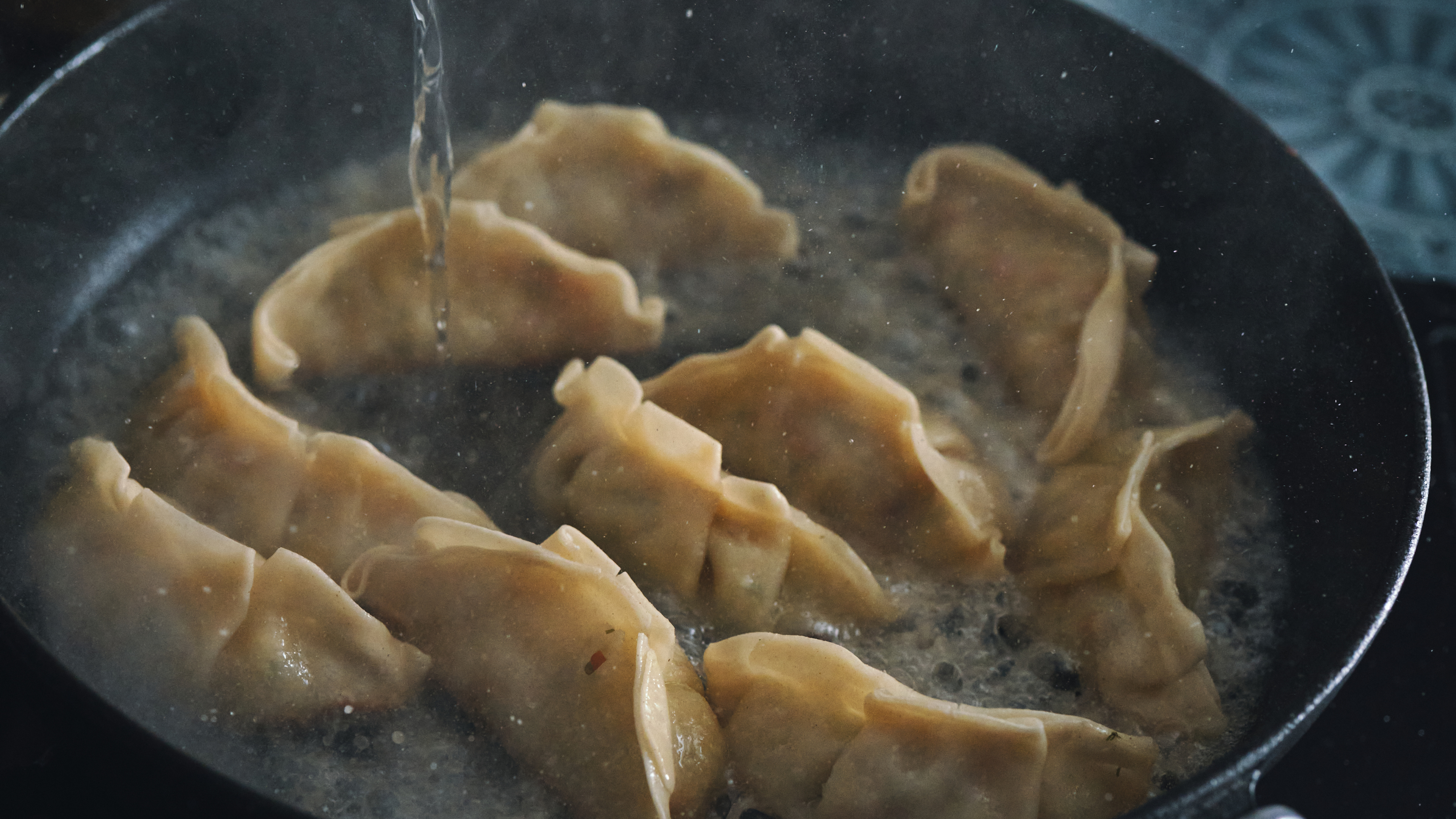 Gyoza Dumplings