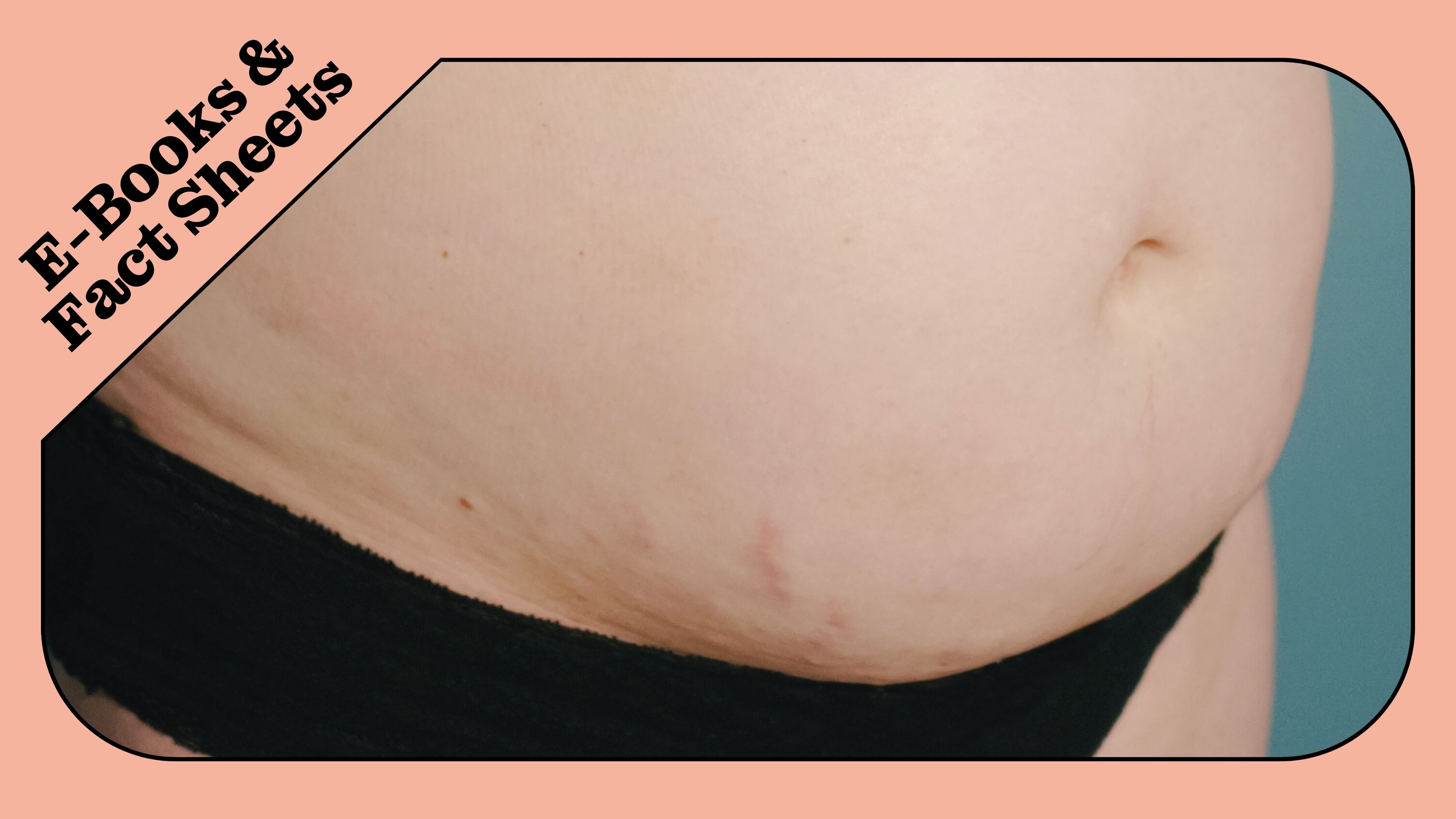 E-Books & Fact Sheets
