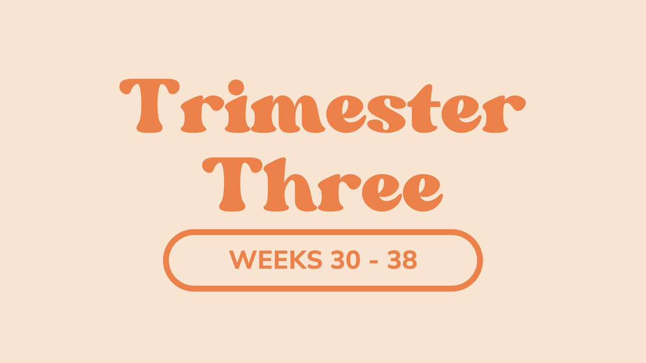 Third Trimester