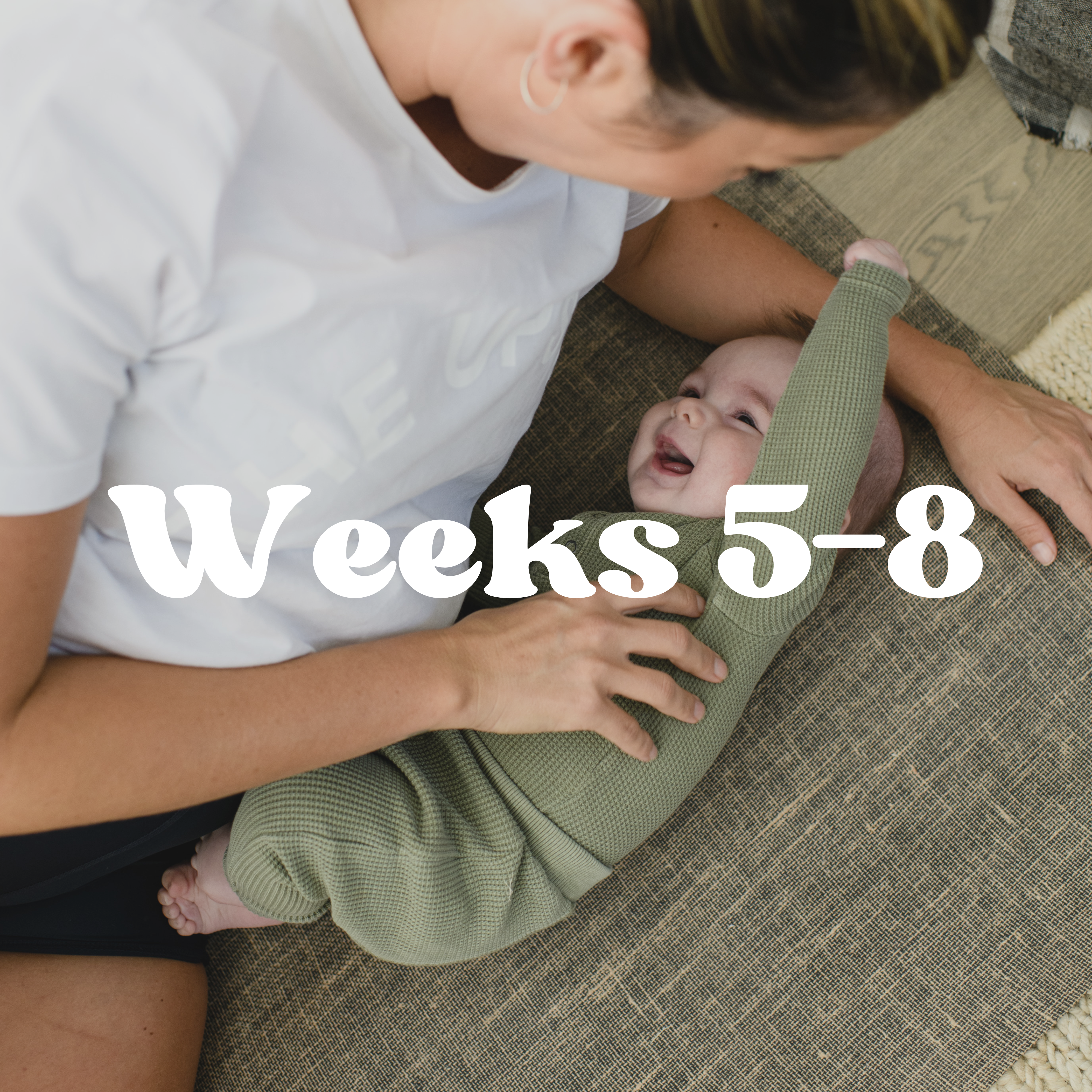 Weeks 5-8