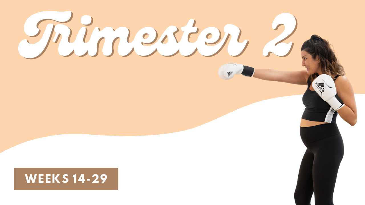 Second Trimester Peaches Pilates Online