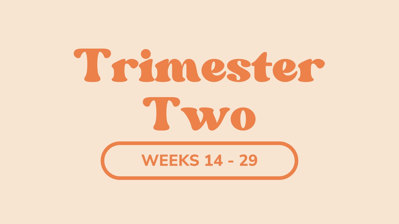 Second Trimester