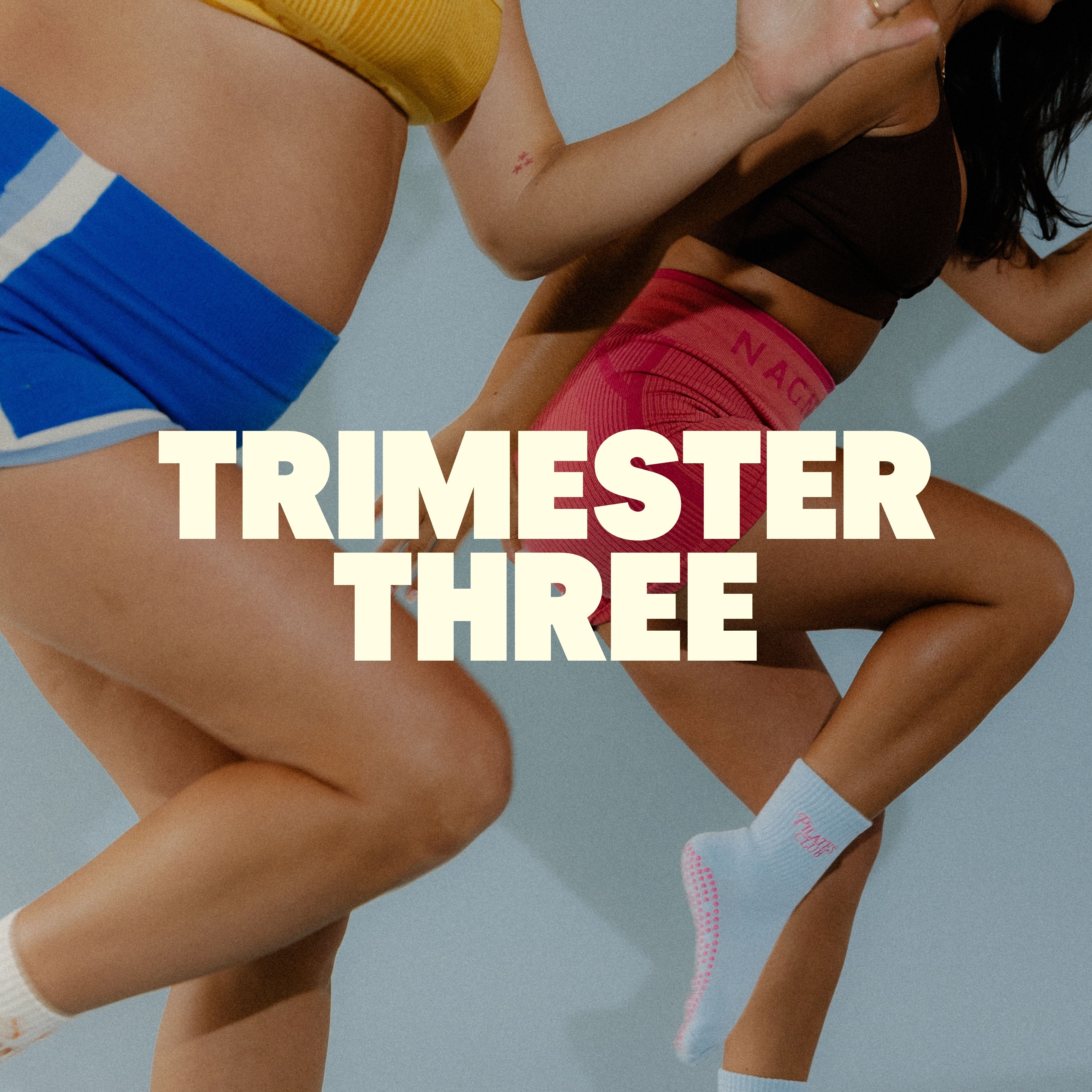 Third Trimester