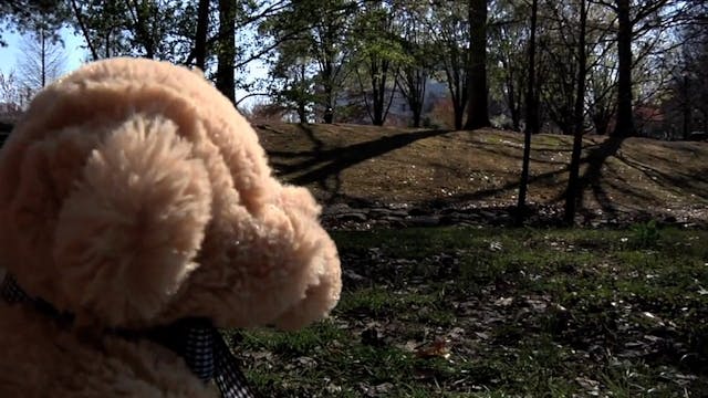 Adventure Bear - The Gift of Spring