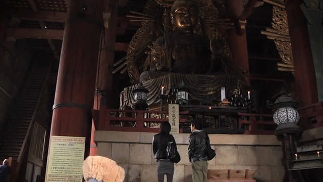 Adventure Bear Visits Japan - Adventu...