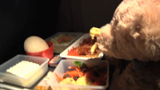 Adventure Bear Goes On a Plane