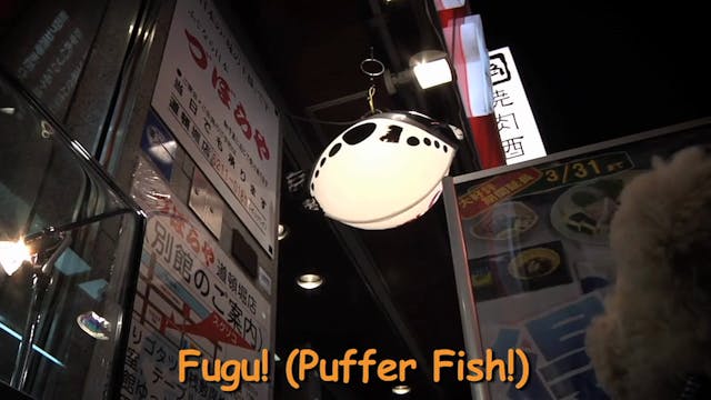 Adventure Bear Visits Japan - Kuma-ch...
