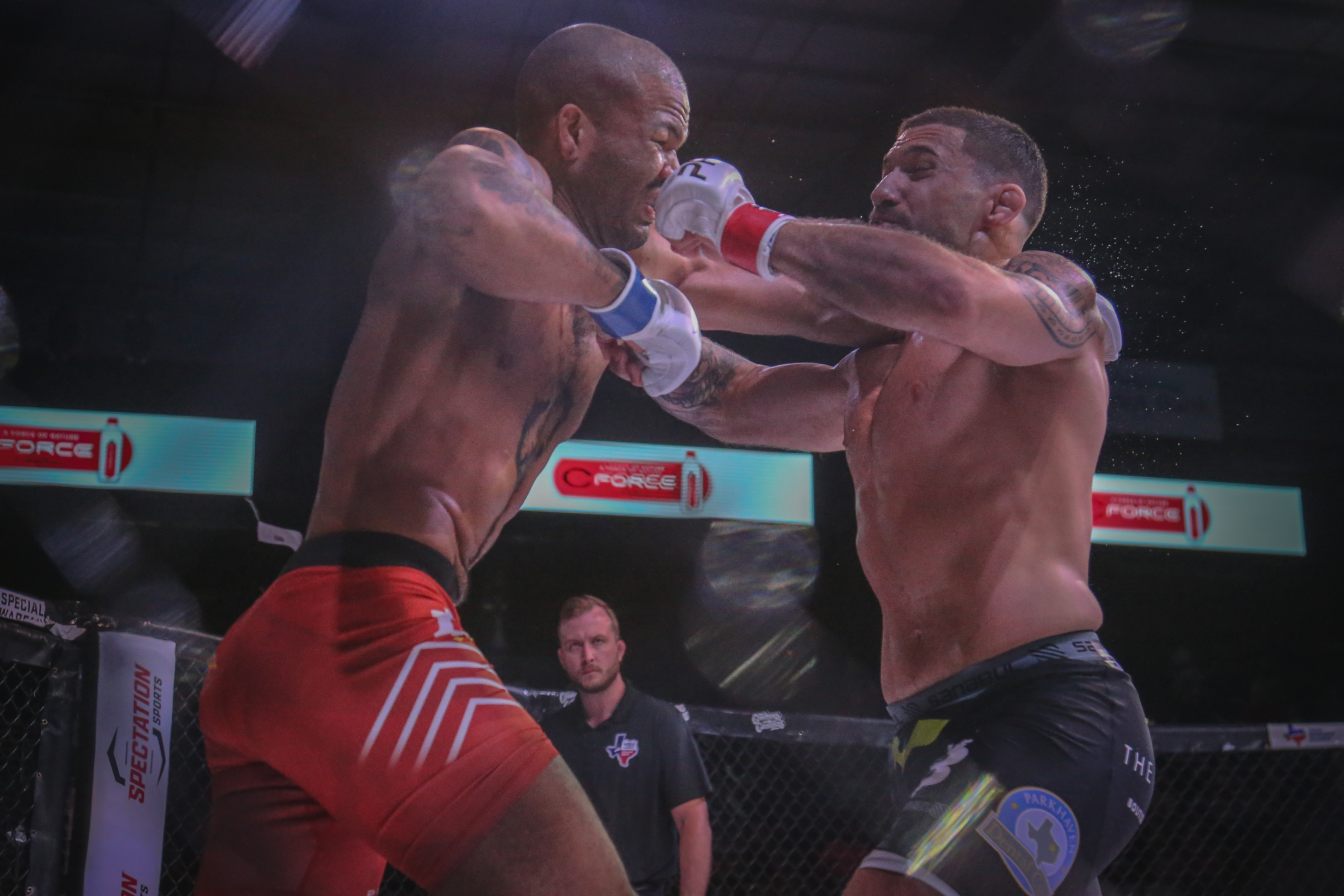 Perry Stargel VS Davi Cabral