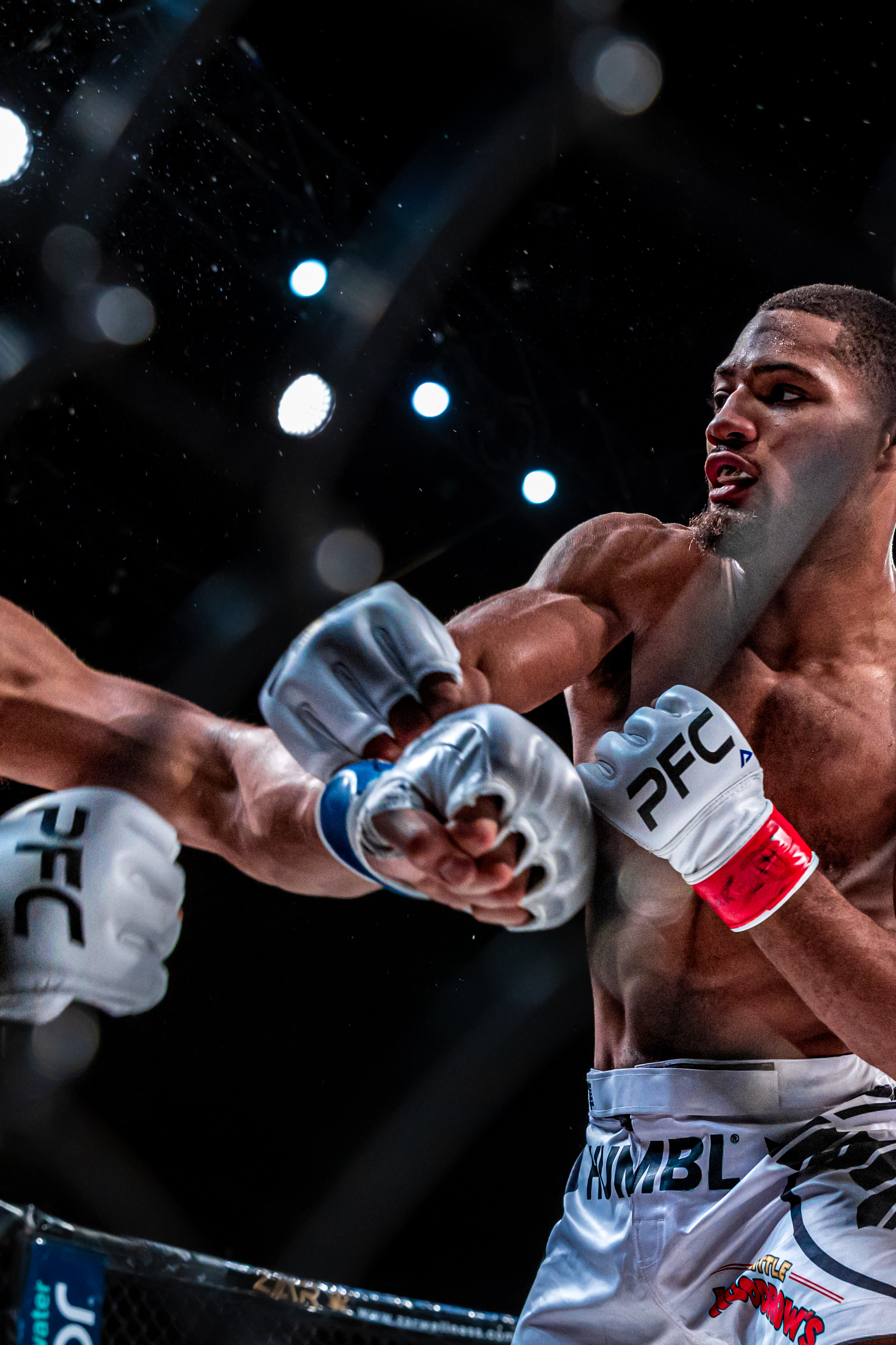 Orlando Sanders vs Ernesto Zarate