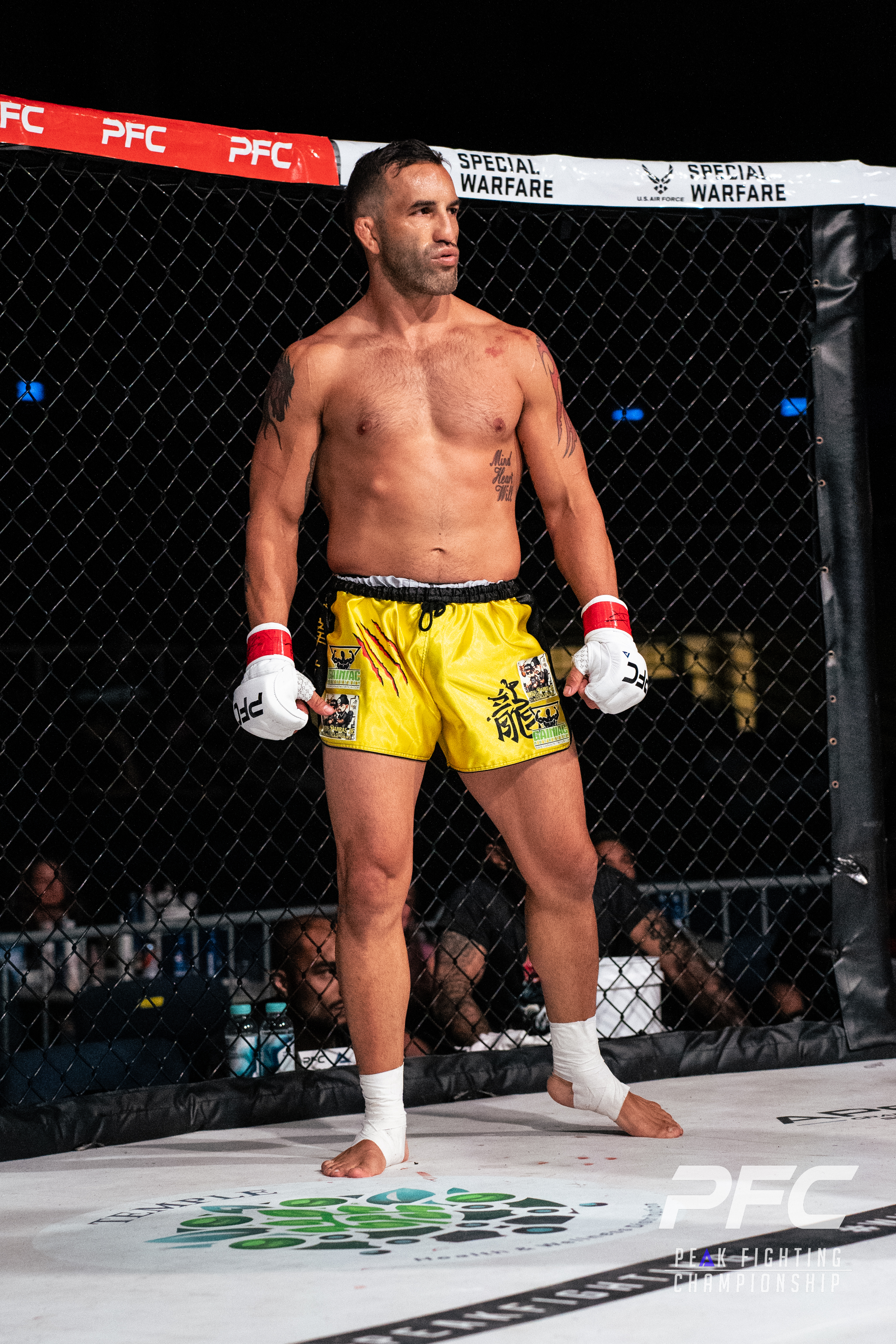 Peter Stanonik vs Derek Campos