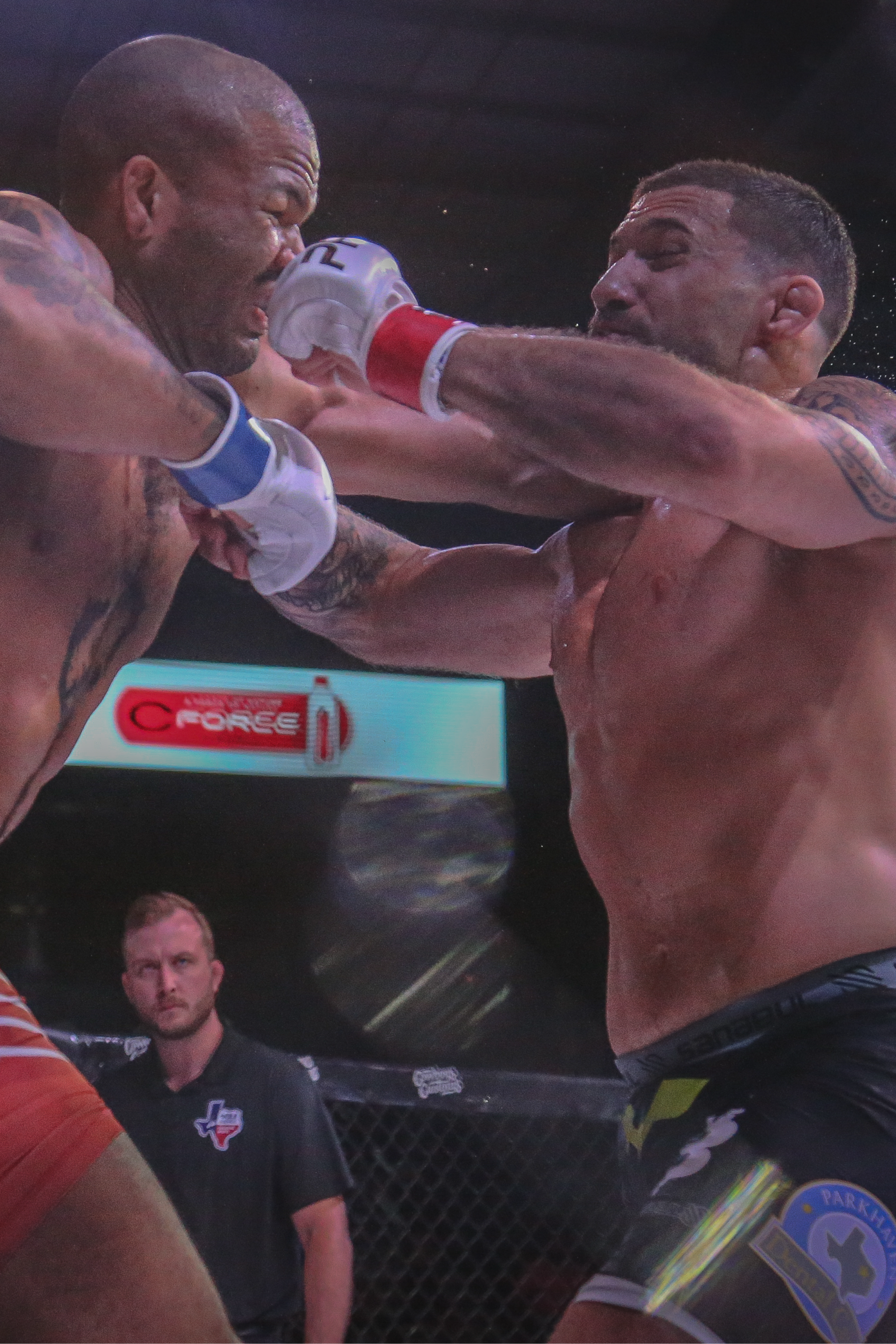 Perry Stargel VS Davi Cabral