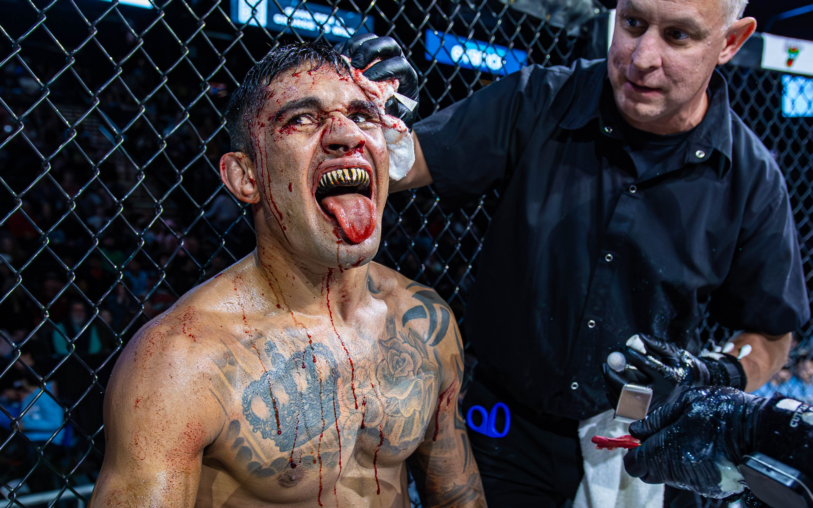 Ty Johnson vs Tarcisio Romano