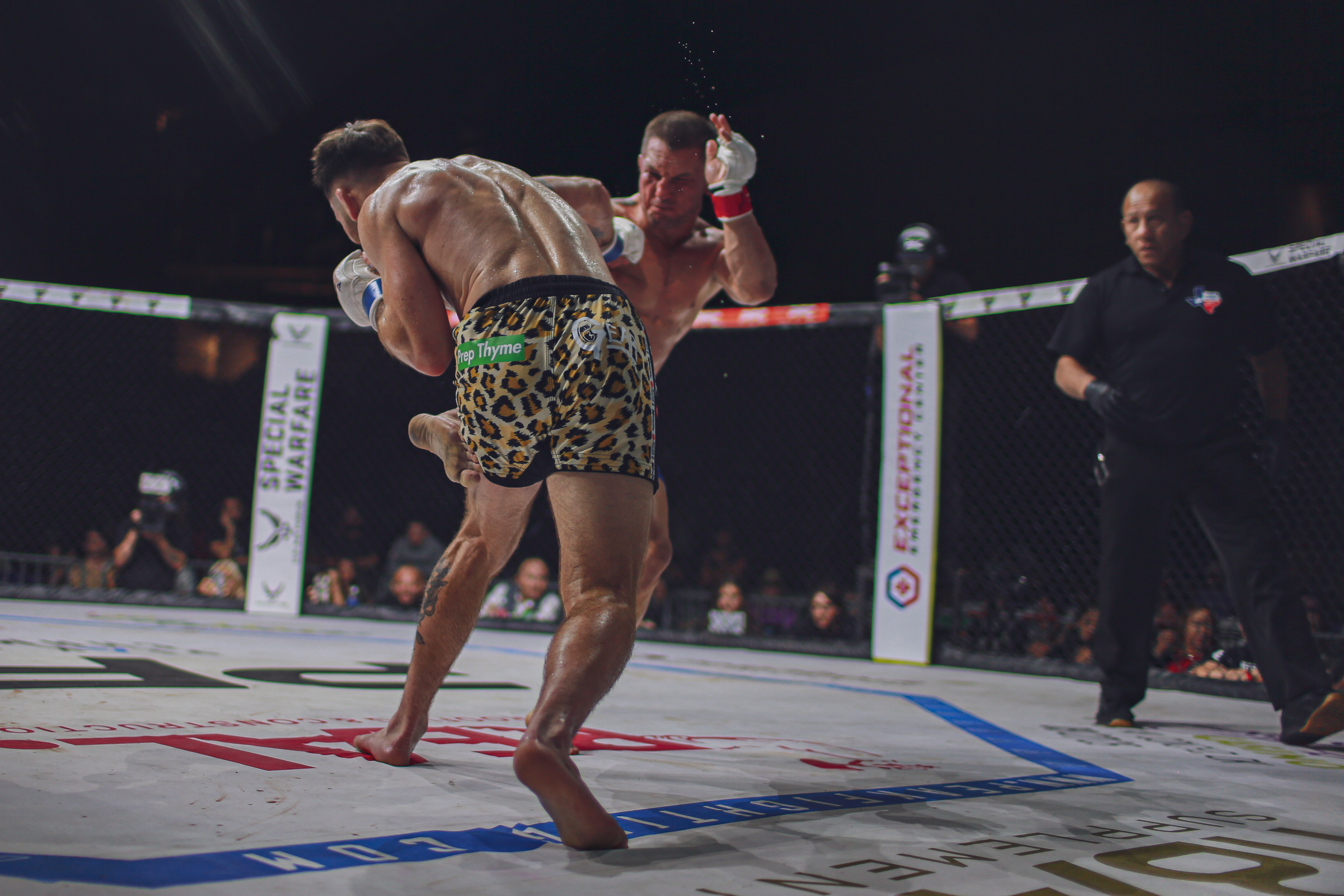 Trevor Wells vs Cody Williams