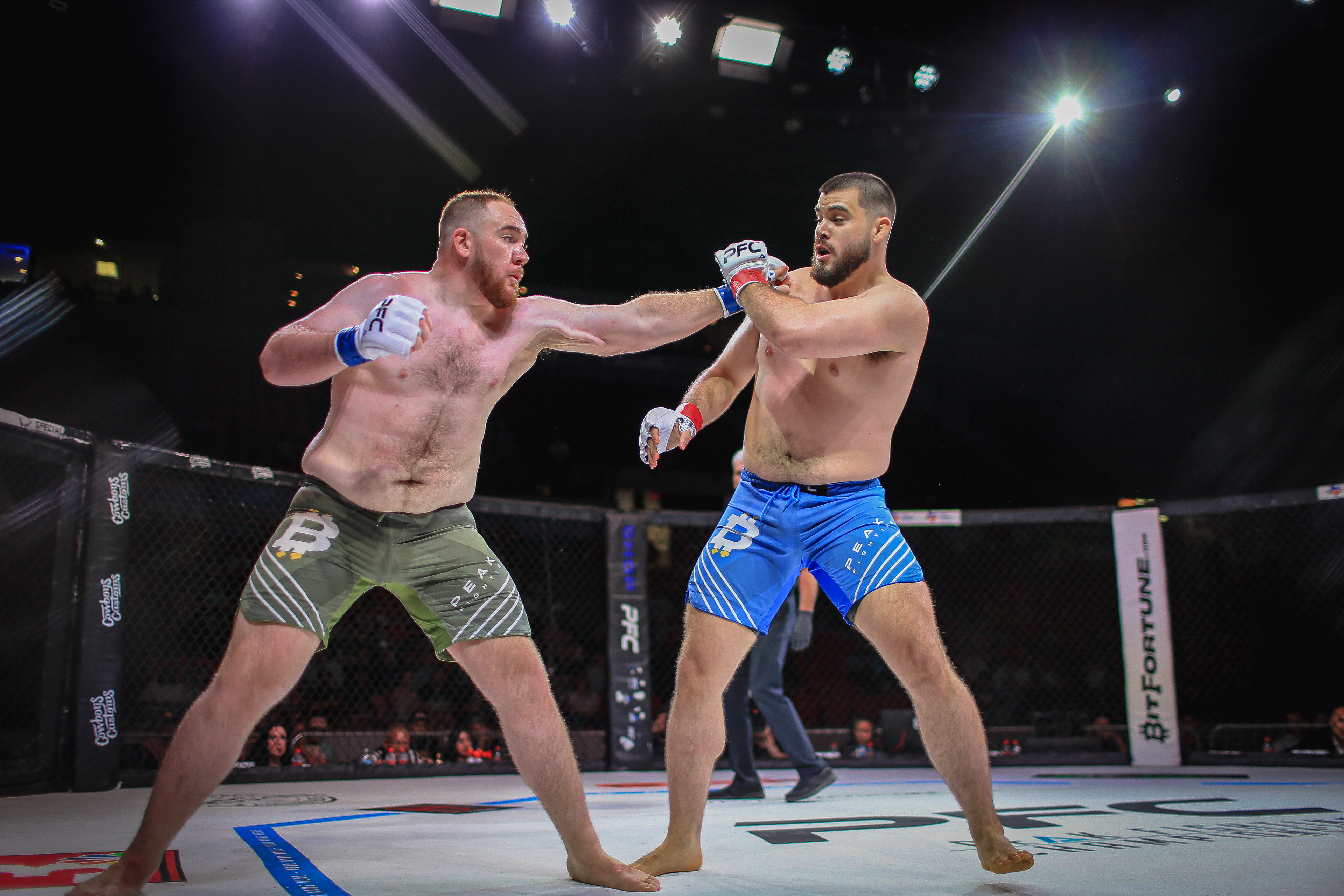 Will Pankowski VS Nic Gallo