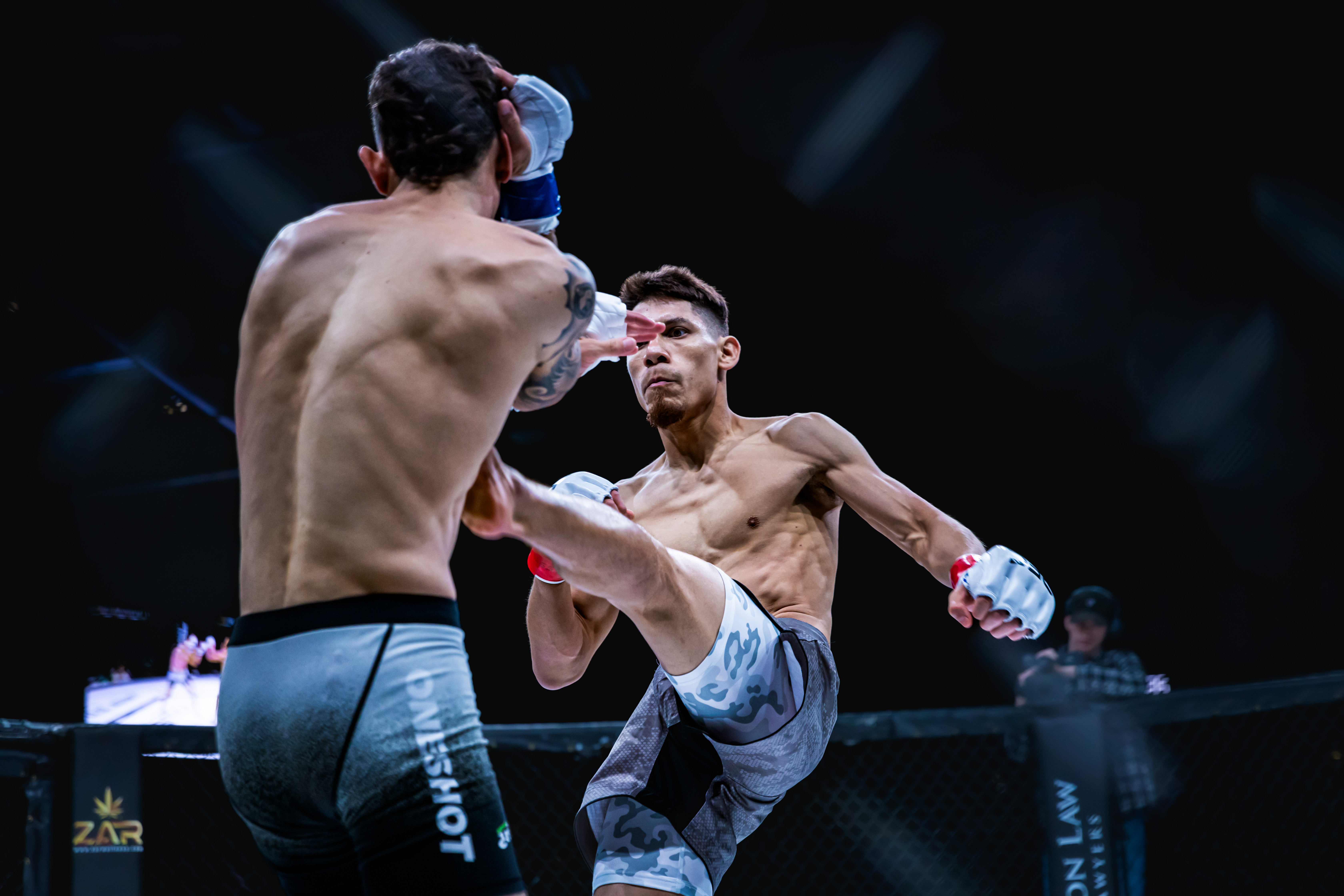 Luis De La Fuente vs Bailer Thomason