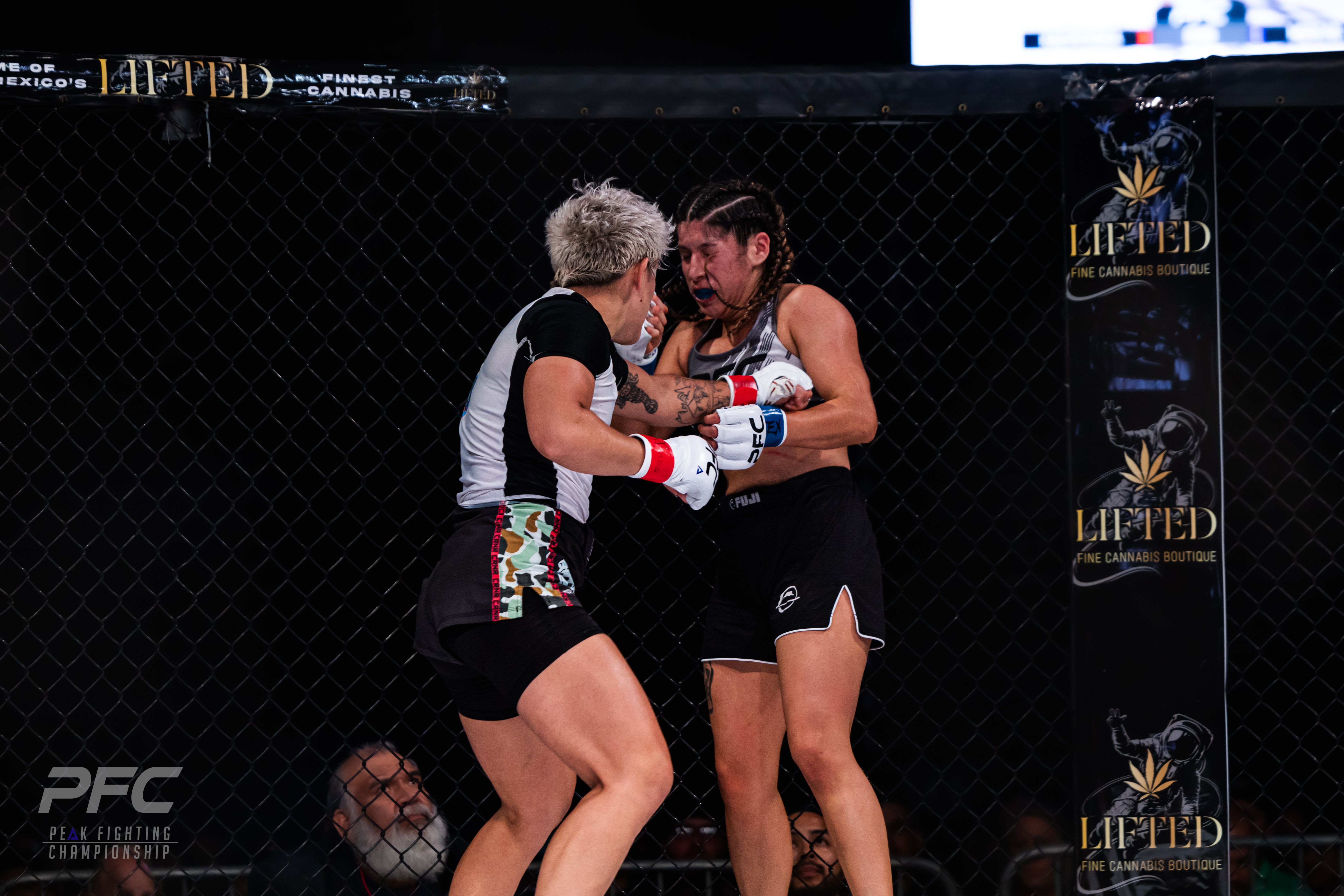 Nikola Kacperska vs Nadia Moreno