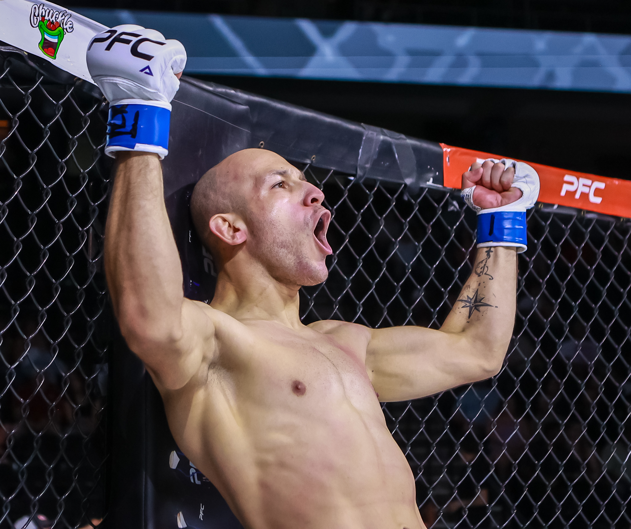 Joao Borges vs Ty Johnson