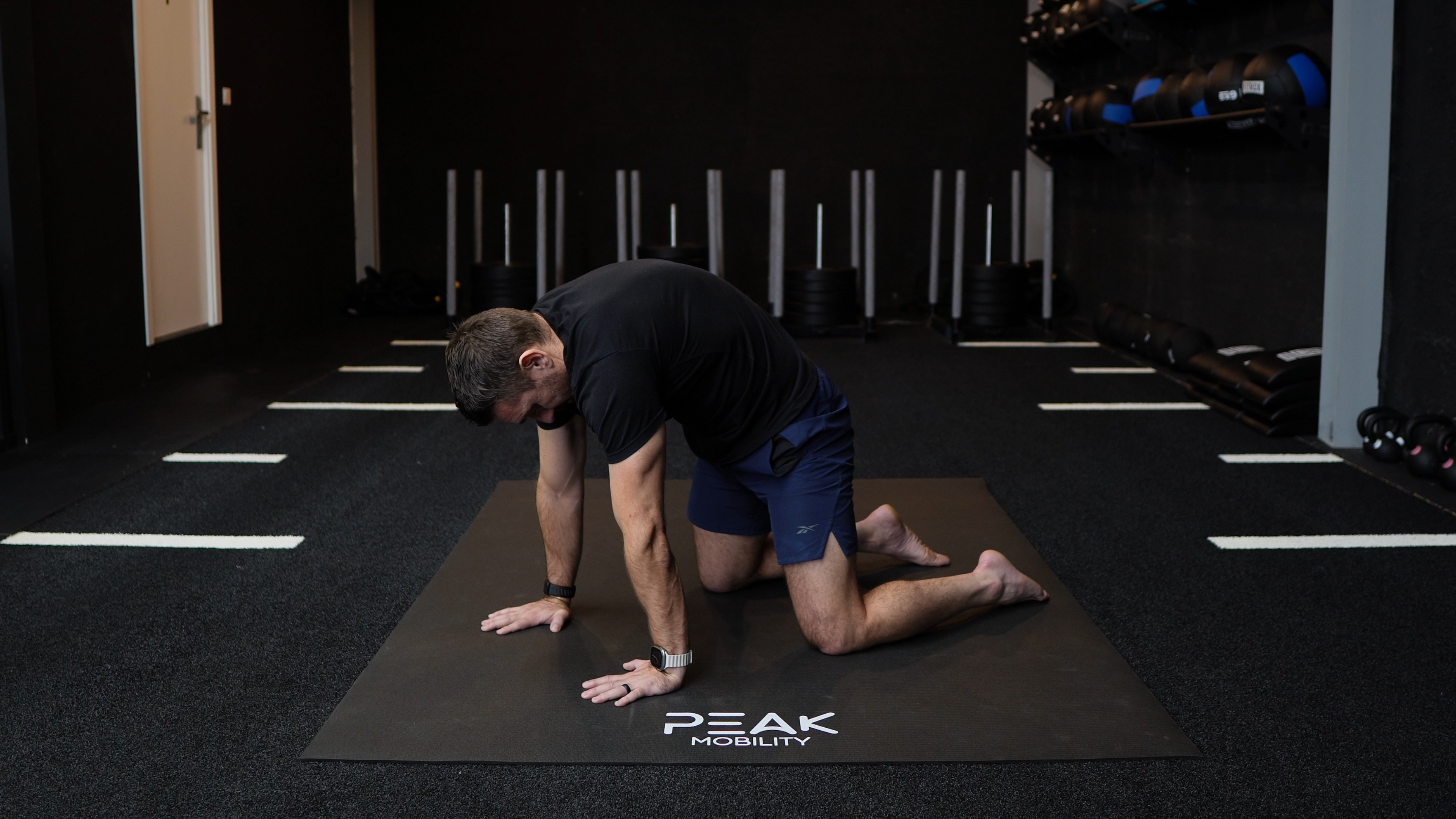 Quadruped Spinal Segmentation